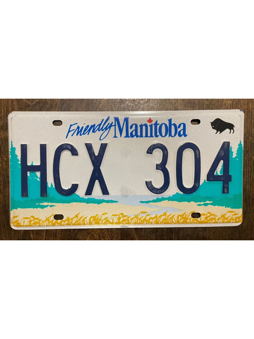 Manitoba License Plate MB Canada Canadian Vintage Expired Province HCX 304